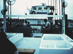 Anglers getting equipment ready aboard charter (CPFV) vessel Image