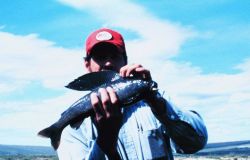 Angler with an Arctic grayling Image
