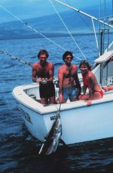 Charter vessel (CPFV) REEL AFFAIR anglers looking on as marlin at side of boat. Image