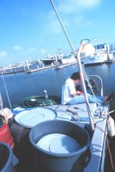 A fisherman working on his gear at the Channel Islands Harbor Image