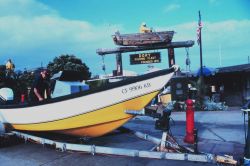 Part of the dory fishing fleet at Newport Beach Image