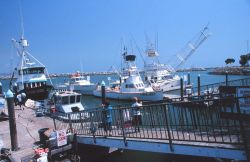 A swordfish harpoon boat Image