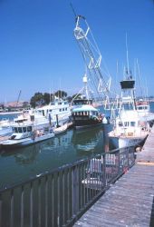 A swordfish harpoon boat Image