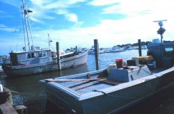 Multi-purpose fishing vessels tied up at Indian River. Image