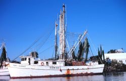 A shrimp boat Image