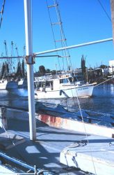 A small fishing vessel returning to Tarpon Springs after a day on the Gulf of Mexico. Image