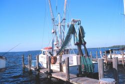 A shrimp trawler drying nets at Matlasha Pass Image