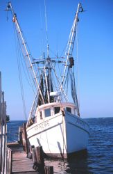 A shrimp trawler drying nets at Matlasha Pass Image