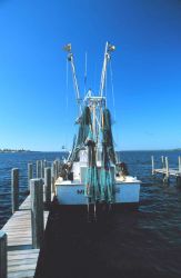A shrimp trawler drying nets at Matlasha Pass Image