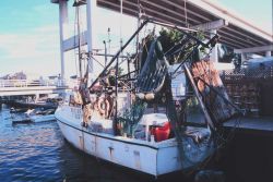 A shrimp trawler at Snug Harbor along the Caloosahatchee River Image