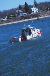 A lobster boat Image