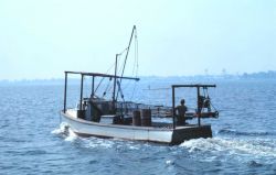 A Chesapeake Bay clam dredge boat. Image