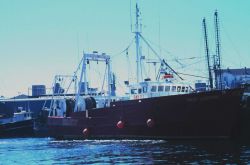 A stern trawler at the pier Image