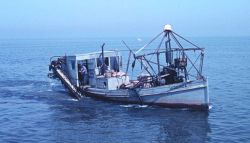 A clam dredge operating on Great South Bay Image