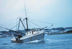 A shrimp boat in the harbor Image