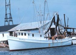 A shrimp boat at the pier Image