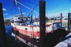 An old derelict that will fish no more Image