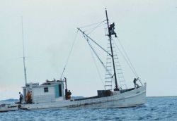 A menhaden fishing vessel with a lookout in the crow's nest looking for indications of schools of menhaden Image
