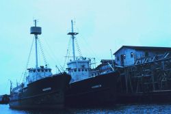 Menhaden mother vessels tied up at the pier Image