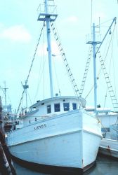 Menhaden mother vessel in port Image