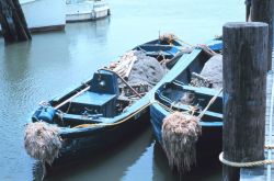 Menhaden auxiliary vessels tied up in port Image