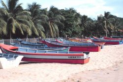 Part of the fleet of small sturdy fishing boats that operate from the beach Image