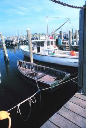 Part of the inshore lobster fleet Image