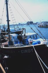 Lobster are caught in the channel just beyond the F/V SANDRA&CINDY Photo