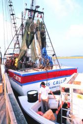 Bringing ice along a shark longliner - a colorful shrimp trawler is tied up forward of the longliner Image