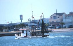 A shrimp boat heads out for the fishing grounds Image