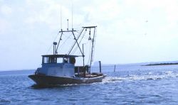 A small shrimp boat in the Intracoastal Waterway Image