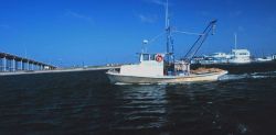A small shrimp boat in the Intracoastal Waterway Image