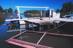 A blue crab boat and crab holding pens at Fleet's Island Image