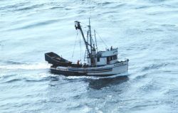 A purse seiner in Deception Pass Image