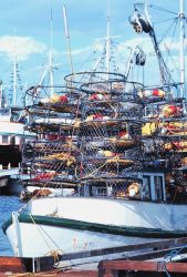 Crab pots ready for deployment Image