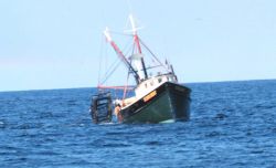 Clam dredging with the dredge deployed from the starboard side Image