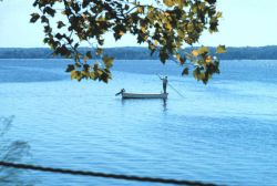Clam fishing from a skiff requires good balance Image