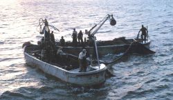 Menhaden fishing - Getting ready to set the net early in the morning Image
