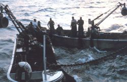Menhaden fishing - Getting ready to set the net early in the morning Image