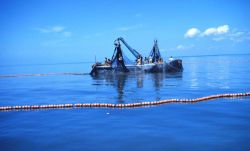 Menhaden fishing - purse seine boats encircling a school of menhaden Image