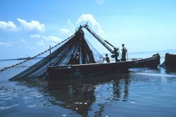Menhaden fishing - purse seine boats encircling a school of menhaden Image