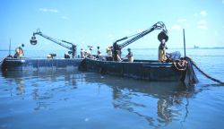 Menhaden fishing - beginning to set out the nets in purse seining operation Image