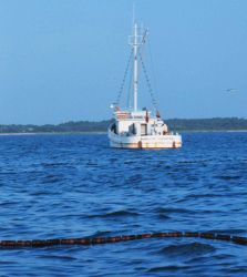 Menhaden fishing - mother vessel as seen over the floats on the net Image