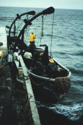 Menhaden fishing - port purse seiner boat being launched at daybreak Image