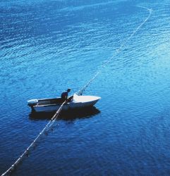 A native American gillnet fishing in the Columbia River Image
