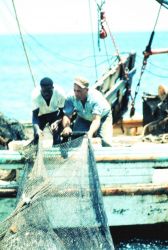 Working together to secure the harvest of shrimp off the THREE SONS Image