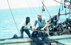 Working together to secure the harvest of shrimp off the THREE SONS Image