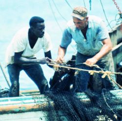 Working together to secure the harvest of shrimp off the THREE SONS Image