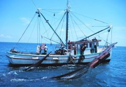 A double-rigged shrimp trawler with one net up and the other being brought aboard Image