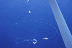 A tuna seiner circling a school of tuna as seen from a spotter aircraft Image
